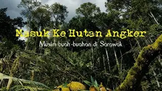 Pengalaman Masuk Hutan Kutip Buah Durian #hutanangker 