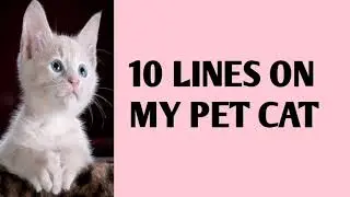 My Pet Cat/10 lines Essay Writing/10 lines on my pet cat /Essay On My Pet Cat in English