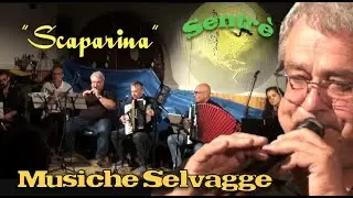 Musiche Selvagge 