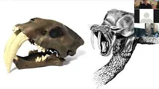 Extreme Weapons: A Natural History