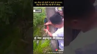 Atimali