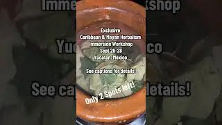 Exclusive Caribbean & Mayan Herbalism Immersion!!