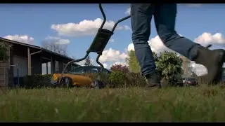 What's Your Lawn Style? Low Maintenance