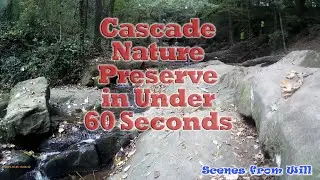 Cascade Springs Nature Preserve in Under 60 Seconds