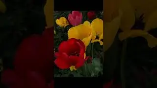 before I close my eyes (Instrumental, slowed)
