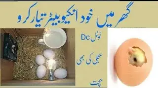 how to make dc incubator at home in urdu hindi !! dc incubator dc bulb use !! egg hatching machine