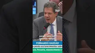 Taxar super-ricos: Haddad rebate deputada bolsonarista que o chamou de cruel por propor taxar o agro