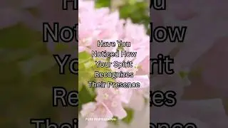 Have You Noticed How Your Spirit Recognizes Their Presence