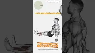 Title：3D Exercise Video Stretch Edition &rarr;Feet and Ankles Stretch