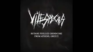 VILE SPECIES / RAZGRUHA - SPLIT ALBUM CD RELEASE