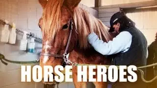 Horse Heroes