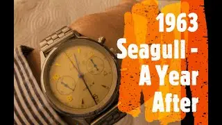 1963 Seagull Red Star - A Year After