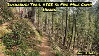 Duckabush Trail #803 to Five Mile Camp - Hiking #hiking #brotherswilderness #river