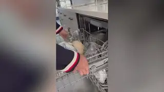 TikTok user shows life hack with dishwasher