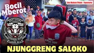 Mendadak Mberot‼️Demit Banteng NJUNGGRENG SALOKO Kalapan Bringas Live Bodean Putuk