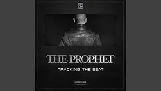 Tracking The Beat (Original Mix)