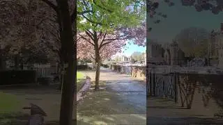 Early summer in York, U.K 🇬🇧 #breezy #sunshine