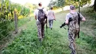 Pennsylvania Dove Opening Day