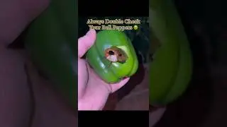 Always Double Check Your Bell Peppers 🤢 #gross