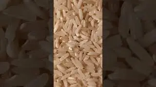 The Rice Trick That Woke Up My Shade Garden