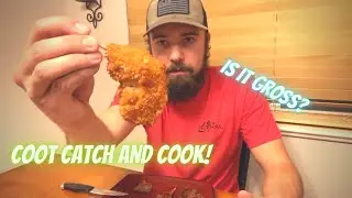 Coot Catch and Cook! Bad Idea?