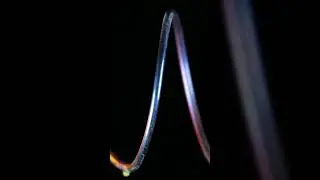Melting Mini Copper Wire in Macro  #satisfying #burning