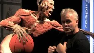 Body Worlds - Resolving Neck Pain - A Kinetic Chain Approach - Ask Dr. Abelson