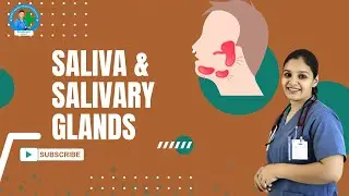 Saliva & Salivary Glands | Neeru Mam | Shri Balaji Nursing Institute  #salivaryglands #cabe