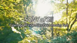 【SONY &alpha;7SIII】【Sigma 24-70 F2.8 DG DN Art】 Cinematic 4K Video Handheld shooting Test