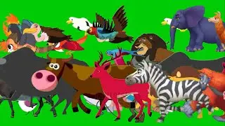 Planet zoo stampede green screen | cartoon an animal stampede green screen remake
