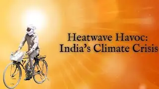 India's Heatwave Crisis: Understanding Causes and Finding Solutions