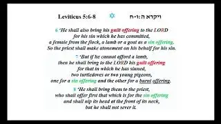 Sukkot with John Kostik     2018