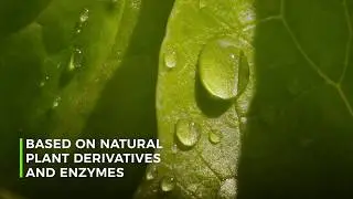 Hair Removal Cream | Permanent Hair Removal Solution Naturally | Vedicline HHR Cream