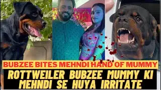 Rottweiler Bubzee Ne Mummy Ke Haath Ki Mehndi Dekh Ke Kiya Attack: Mummy Ka Haath Kaatne Ki Koshish