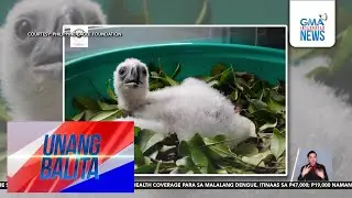 Eaglet na si 