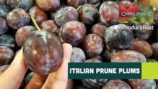 Italian Prune Plums | Produce Beat