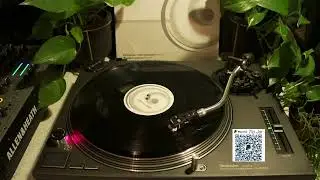 Montini Experience - My House Is Your House (Christian Hornbostel Remix)[Vinyl Loop Records]