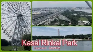KASAI RINKAI PARK #ferris