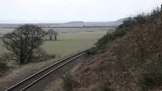 D5631 (class31)