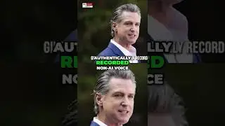 Gavin Newsom's Hilarious Babylon Bee Parody Campaign