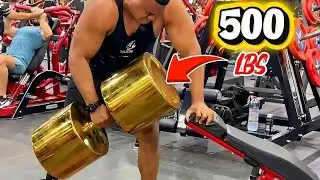 &iquest;HUMANO o GORILA? Bitelo Levanta 500 LIBRAS con 1 Mano 🦍
