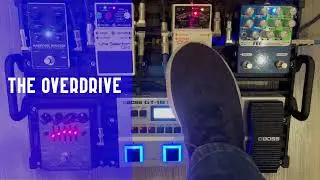Tim Commerford bass effects with GT1B and Darkglass
