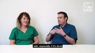 Когда следует кастрировать собаку?