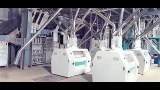 ЛИНИЯ ПО производству кукурузы 150 тонн в Млолонго, Кения &mdash; 0086 13832199261