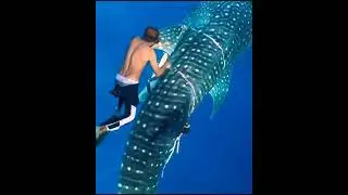 Man Saved Whale 🐋🐳 From Plastic Waste #Shorts