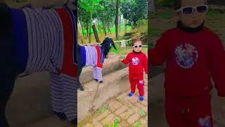 bakre ko nehlaungi #song #entertainment #funny #comedymove #comedyfilms #comedy #goatvideos