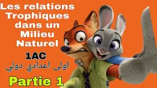 Les Relations Trophiques dans un Milieu Naturel ||1AC || Partie1 || العلاقات الغذائية في وسط طبيعي