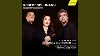 Piano Concerto in A Minor, Op. 54: I. Allegro affettuoso