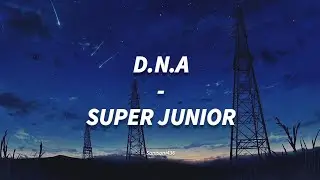 SUPER JUNIOR - D.N.A [LIRIK SUB INDO]
