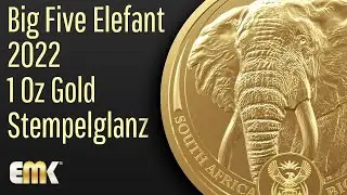 Big Five - Elefant - 2022  - 1 Oz Goldm&uuml;nze